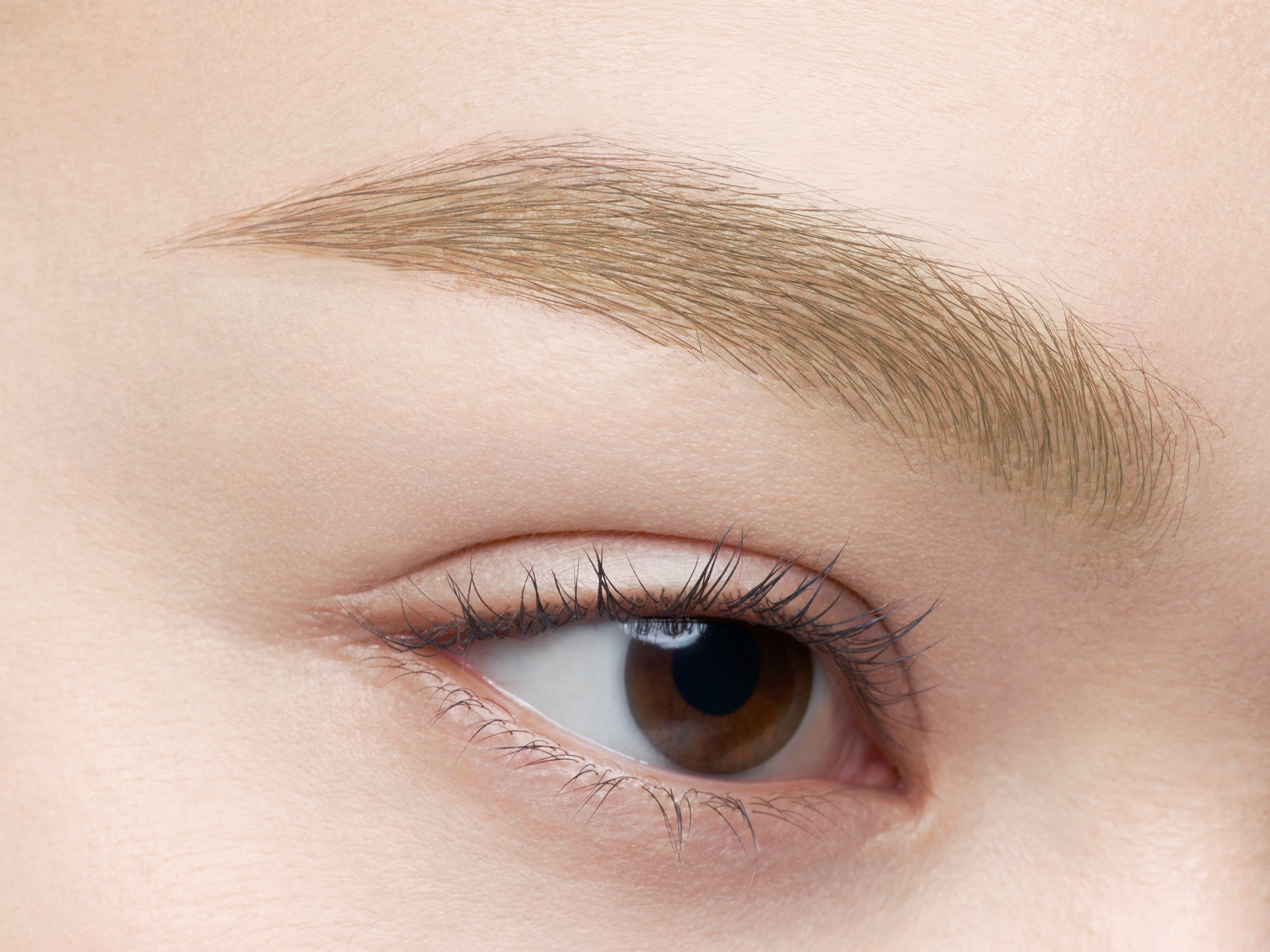 ケイト 3DアイブロウカラーZ BR-2 ライトブラウン