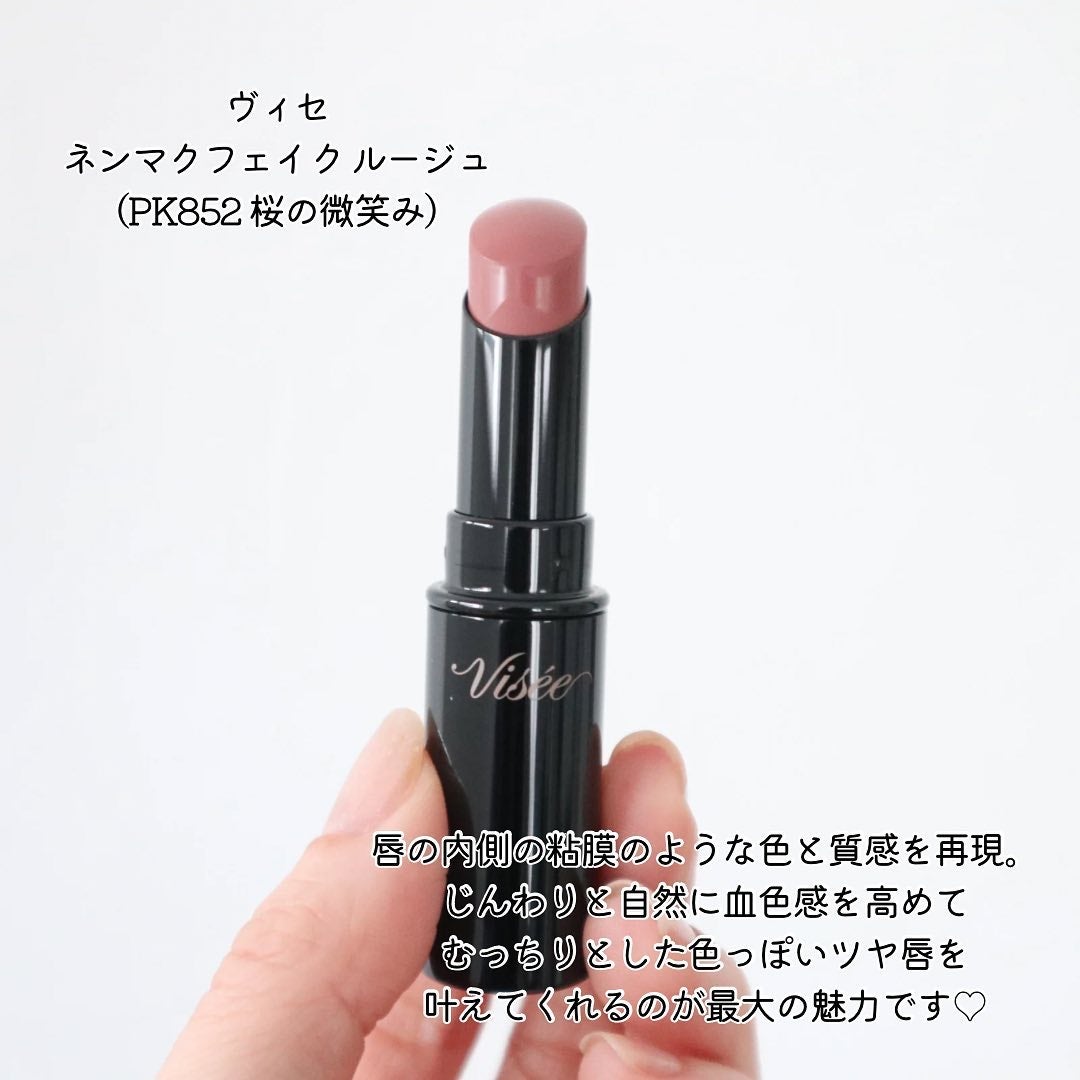 ネンマクフェイク ルージュ/Visée/口紅を使ったクチコミ(2枚目)