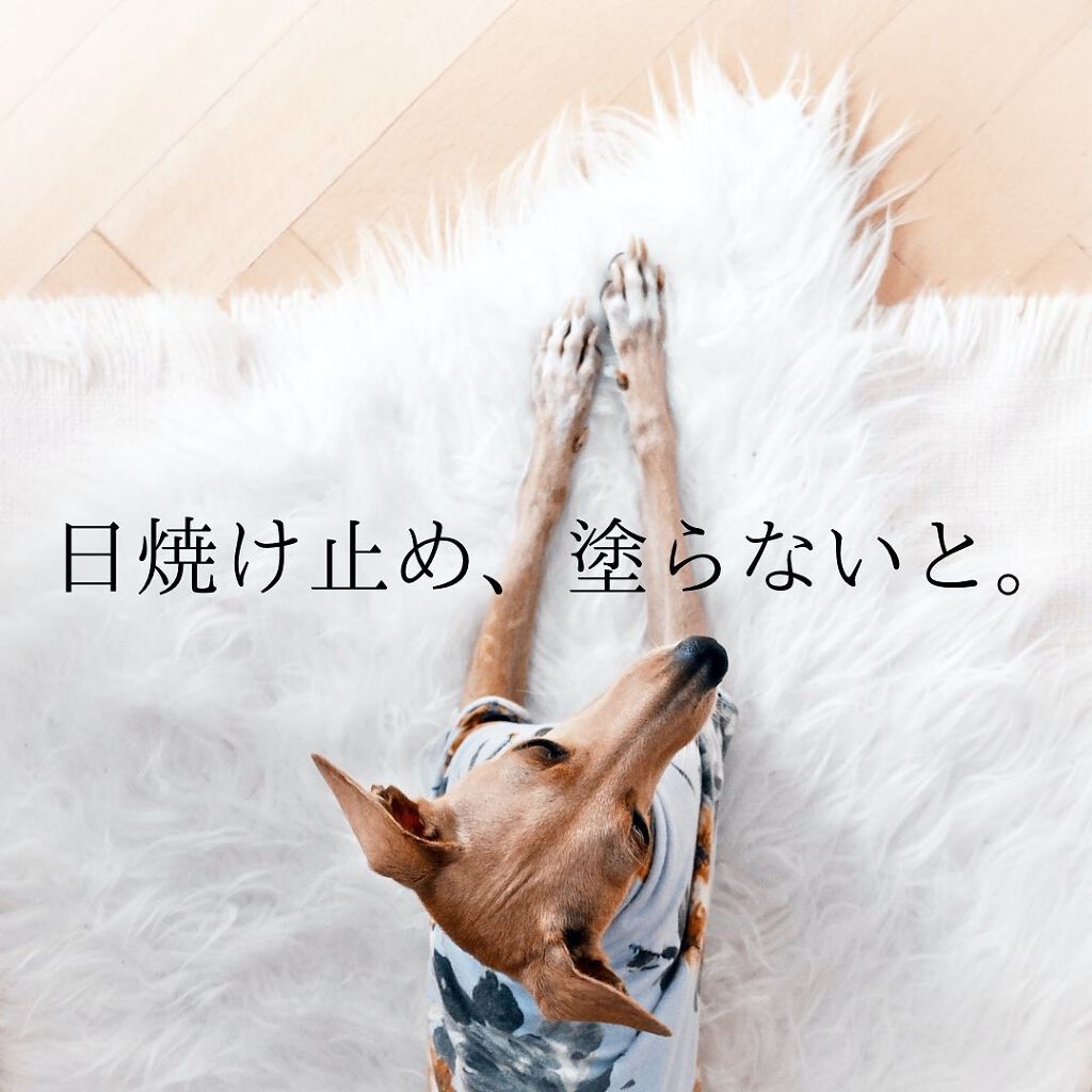 アロマリー アロマ UVカットスプレー DB/noiro/日焼け止めミスト・スプレーを使ったクチコミ(1枚目)