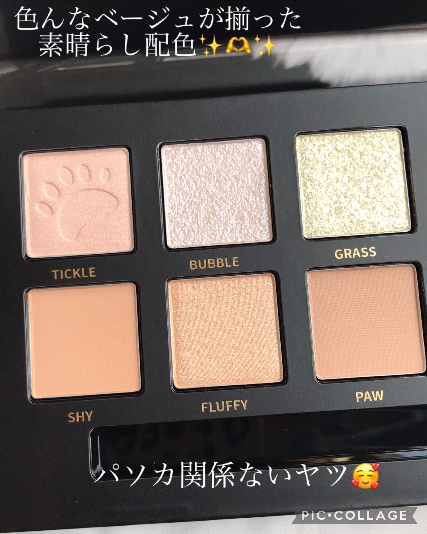 エクスプローラ12色 動物アイシャドウパレット パンダ/PERFECT DIARY/アイシャドウパレットを使ったクチコミ（3枚目）