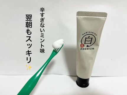 歯磨き堂 薬用ホワイトニングペースト プレミアム/歯磨き堂/歯磨き粉を使ったクチコミ(5枚目)