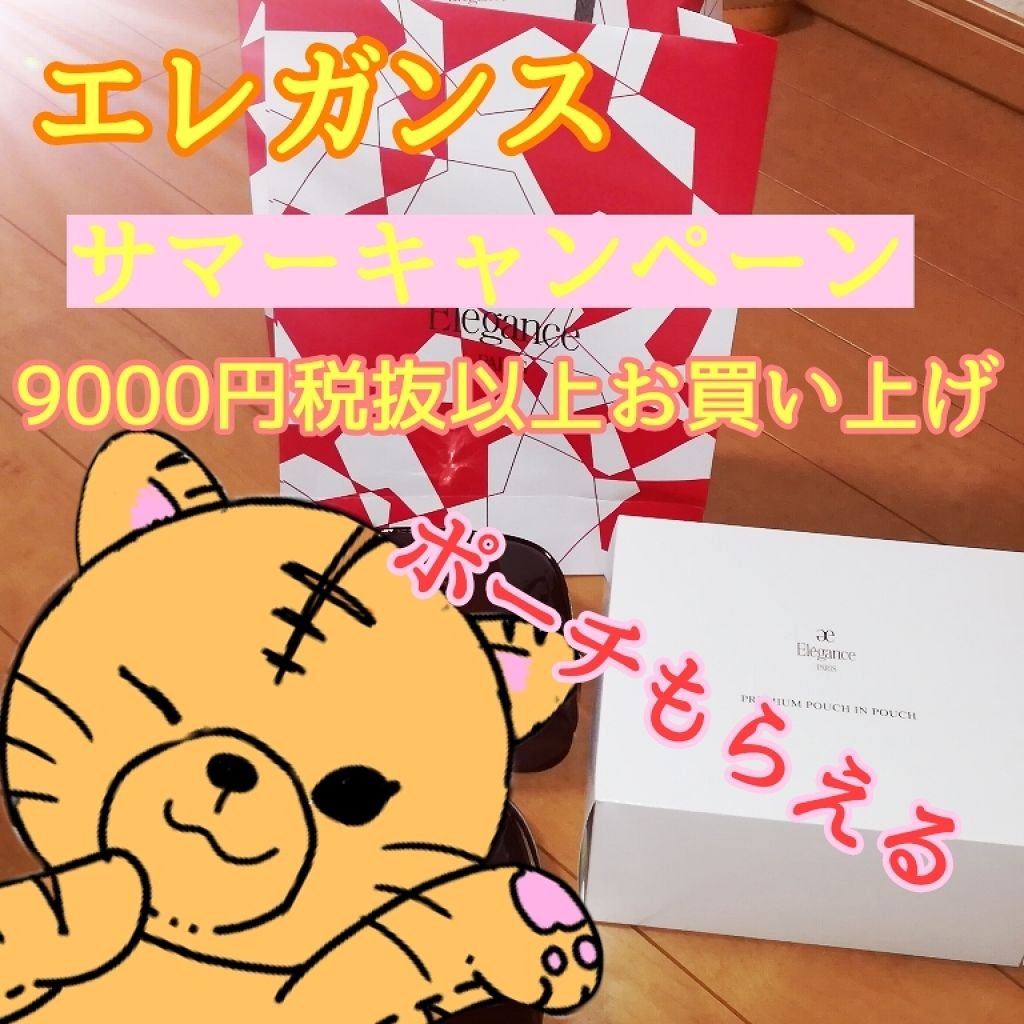 プレミアム ポーチ イン ポーチ/Elégance/その他を使ったクチコミ（1枚目）