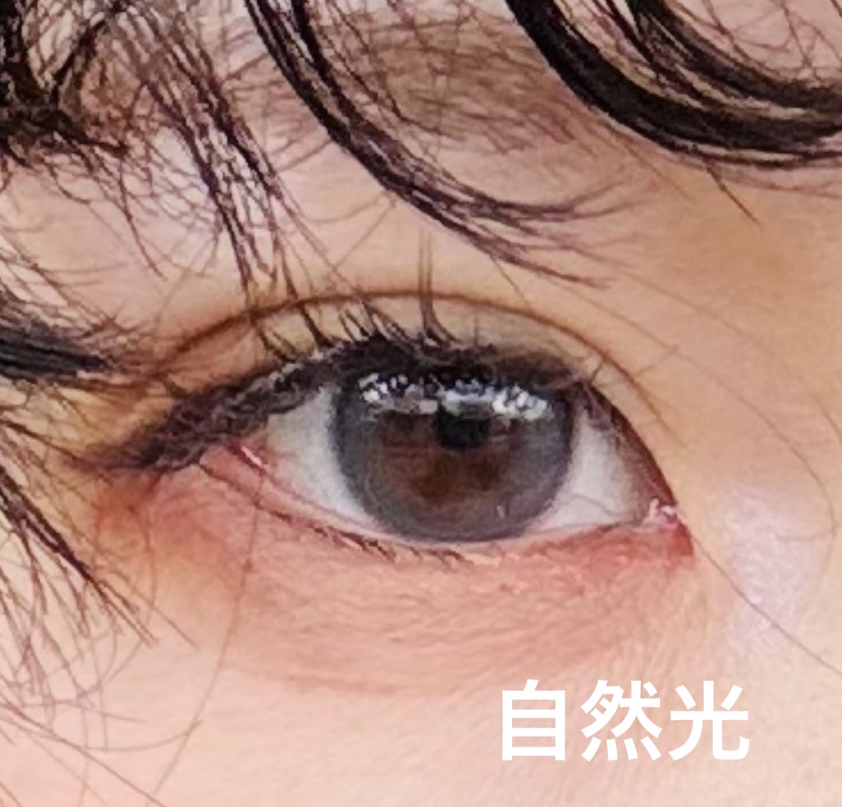 YURIAL 1DAY/URIA/ワンデー（１DAY）カラコンを使ったクチコミ（2枚目）