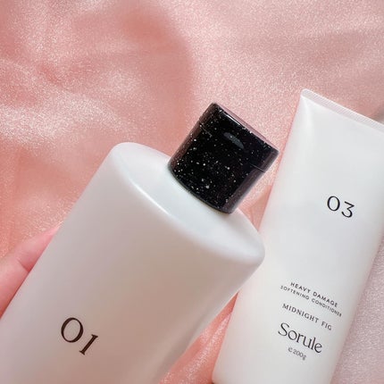 モイストソフナー 01ベーシックスカルプ/Sorule/市販シャンプーを使ったクチコミ(2枚目)