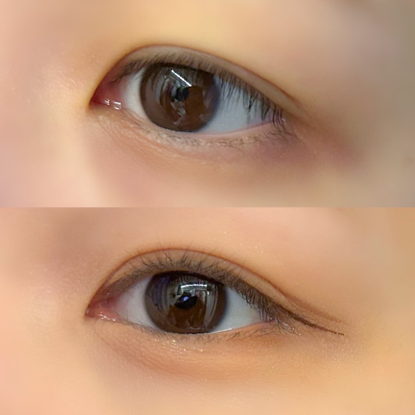 シャドウパレット/dasique/アイシャドウパレットを使ったクチコミ(4枚目)