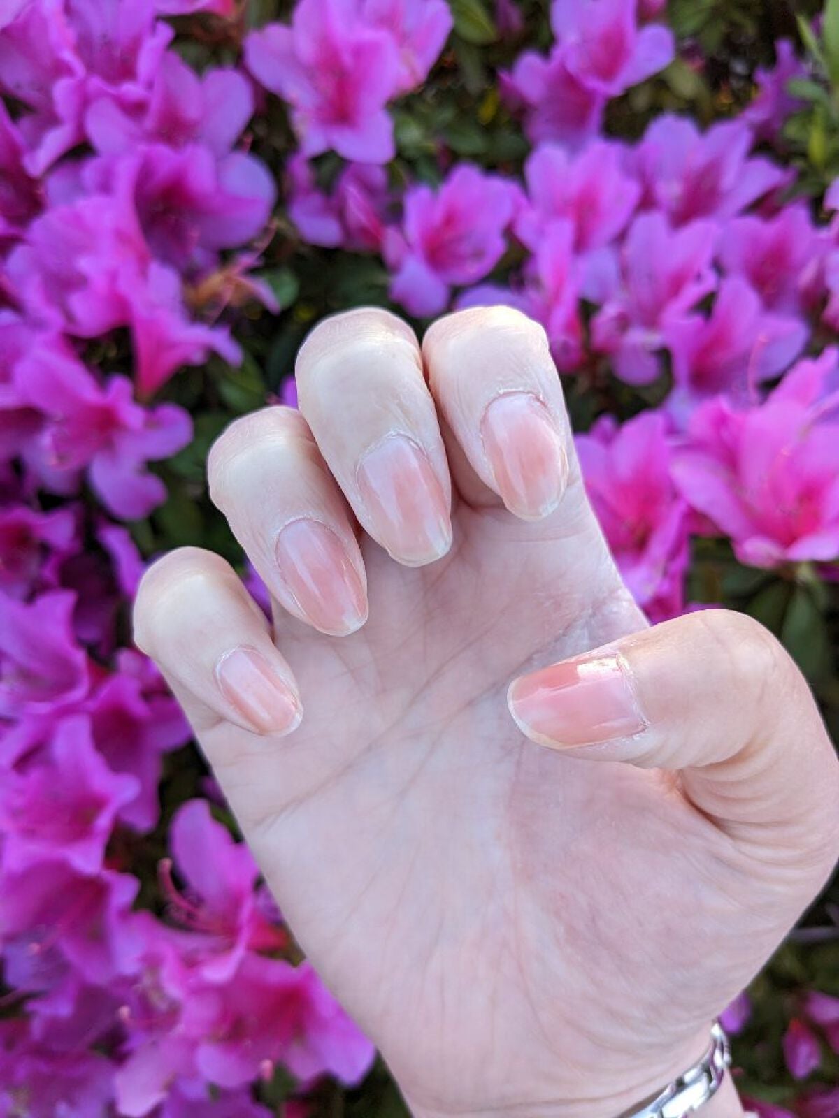 ファンデーションカラーズ/キャンメイク/マニキュアを使ったクチコミ(4枚目)