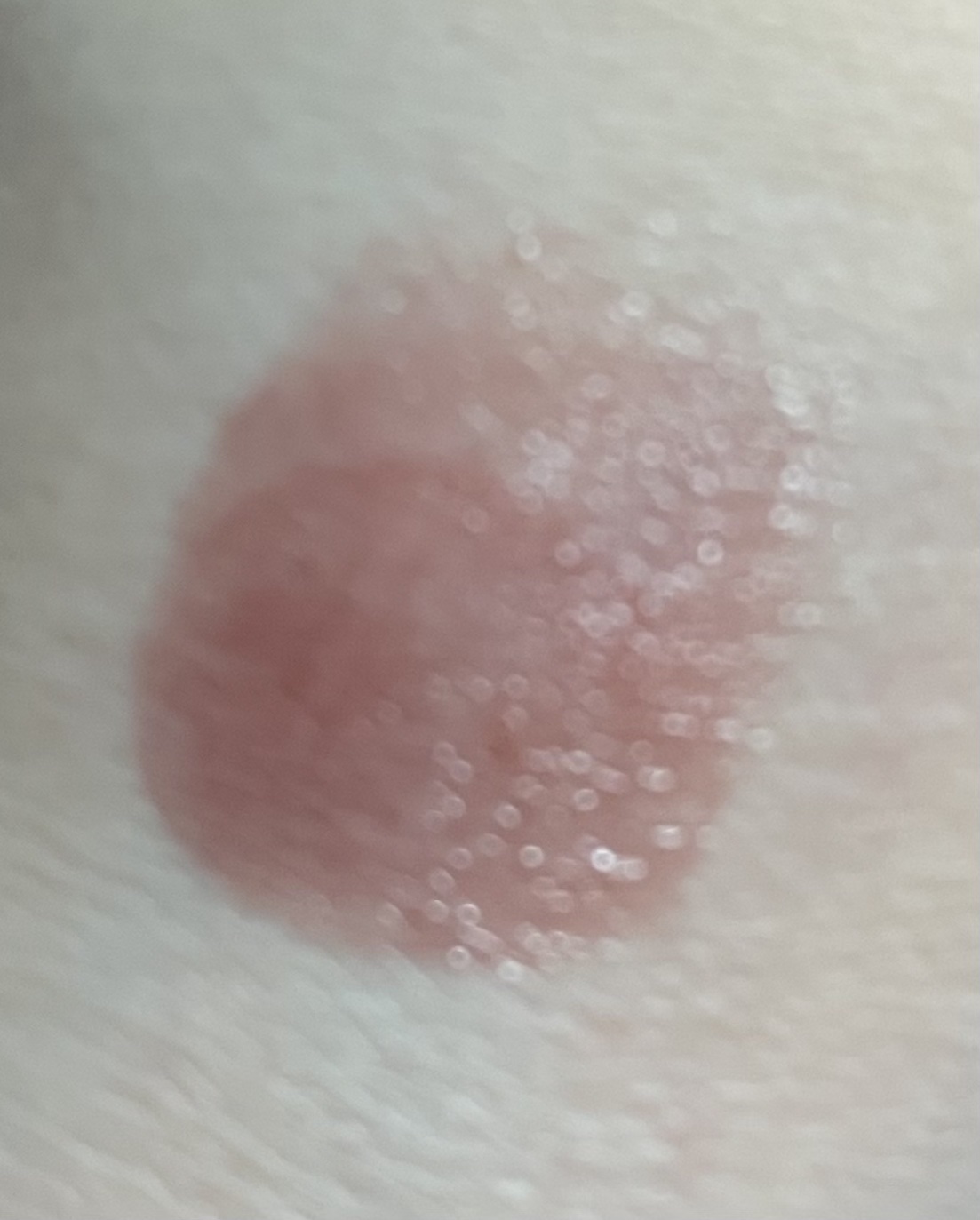 リップカラーシールド/CEZANNE/口紅を使ったクチコミ（3枚目）