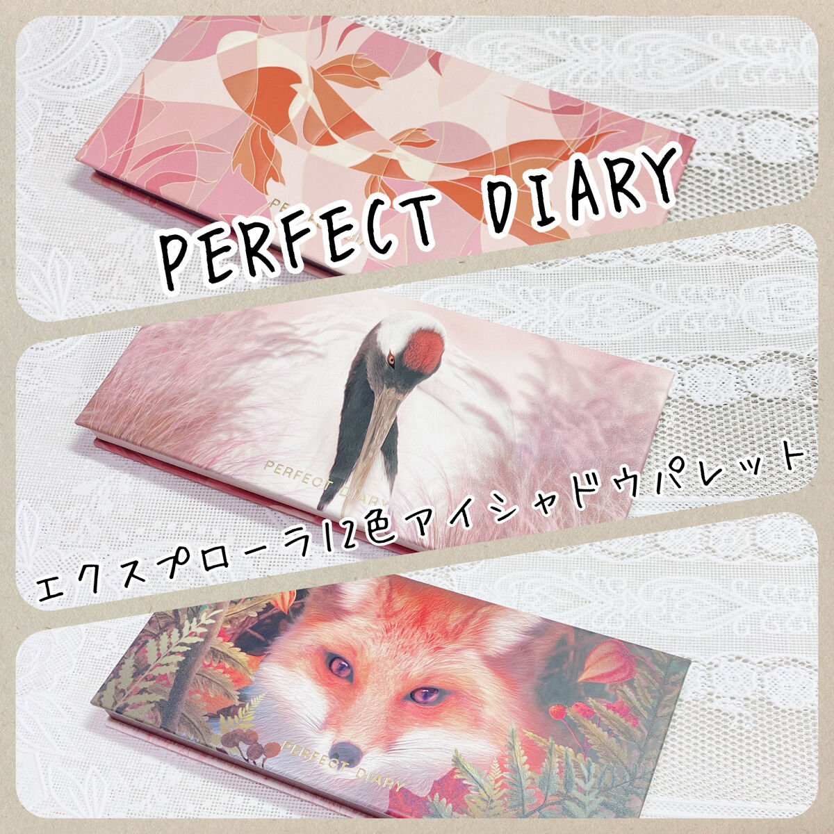 エクスプローラ12色 動物アイシャドウパレット/PERFECT DIARY/アイシャドウパレットを使ったクチコミ（1枚目）