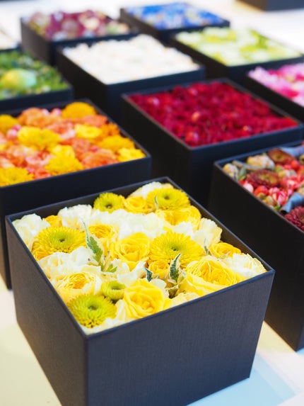 プレミアムモイスト シャンプー/ヘアコンディショナー/TSUBAKI/市販シャンプーを使ったクチコミ(6枚目)