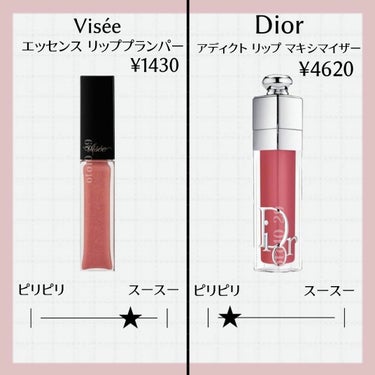 ディオール アディクト リップ マキシマイザー 024インテンス ブリック/Dior/リップグロスを使ったクチコミ（2枚目）