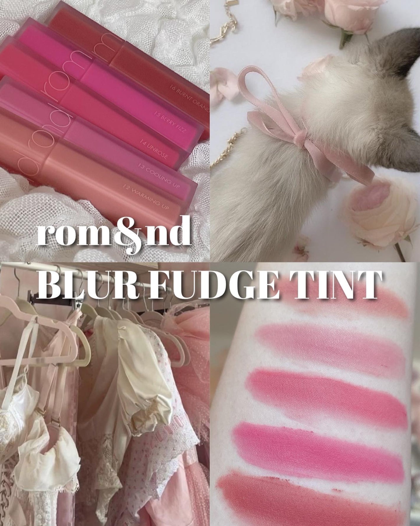 rom&nd ブラーファッジティント/rom&nd/リップティントを使ったクチコミ(1枚目)