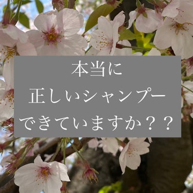 皆さん突然ですがシャンプー完璧に出来ている自信がありますか🕵️‍♀️？

毎日何気なくやっている事ですが、
髪を綺麗に見せるために1番重要なこと！！！

どんなに髪に保湿クリームを塗っても、シャンプーが