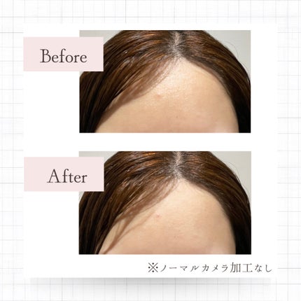 スキンケアパウダー/IPSA/プレストパウダーを使ったクチコミ(2枚目)