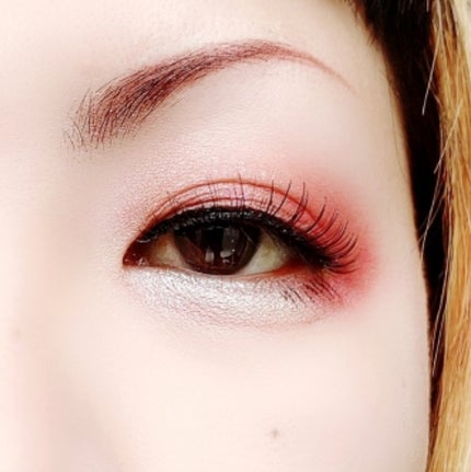 エクスプローラ12色 動物アイシャドウパレット/PERFECT DIARY/アイシャドウパレットを使ったクチコミ(5枚目)