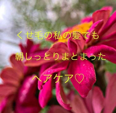 圧倒的時短！！！！
いつものケアにひと手間加えるだけで髪質が全然変わった方法〜☺︎❁

こんばんは！！あいきゃんです🙋🏻‍♀️


今日はいつものヘアケアにちょこっとだけプラスするだけでくせ毛の私の髪の