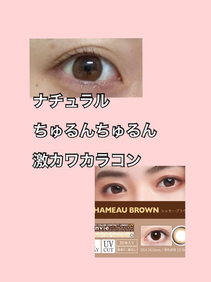 envie 1day シャモーブラウン/envie/ワンデー(1DAY)カラコンの画像