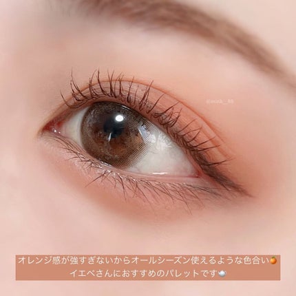 パーフェクトマルチアイズ/キャンメイク/アイシャドウパレットを使ったクチコミ(6枚目)