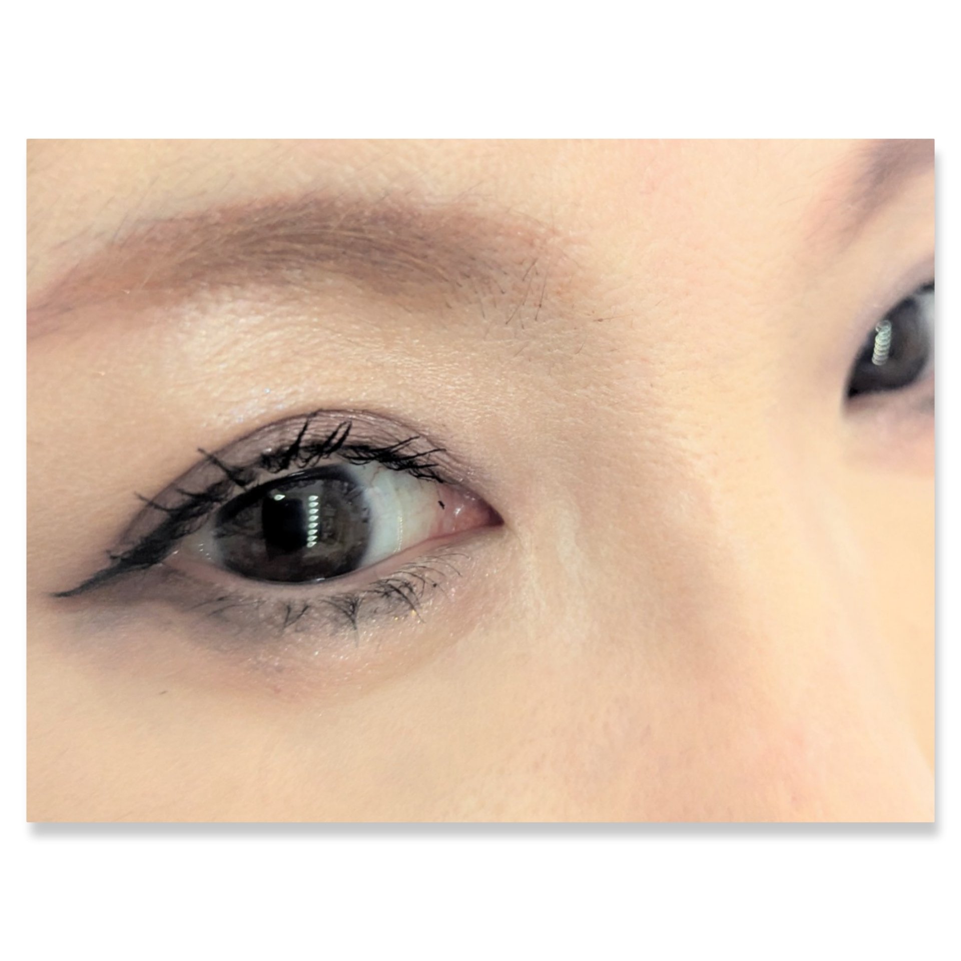 パノラマデザイン アイパレット PK-7 グレージュピンク/Visée/アイシャドウパレットを使ったクチコミ（2枚目）