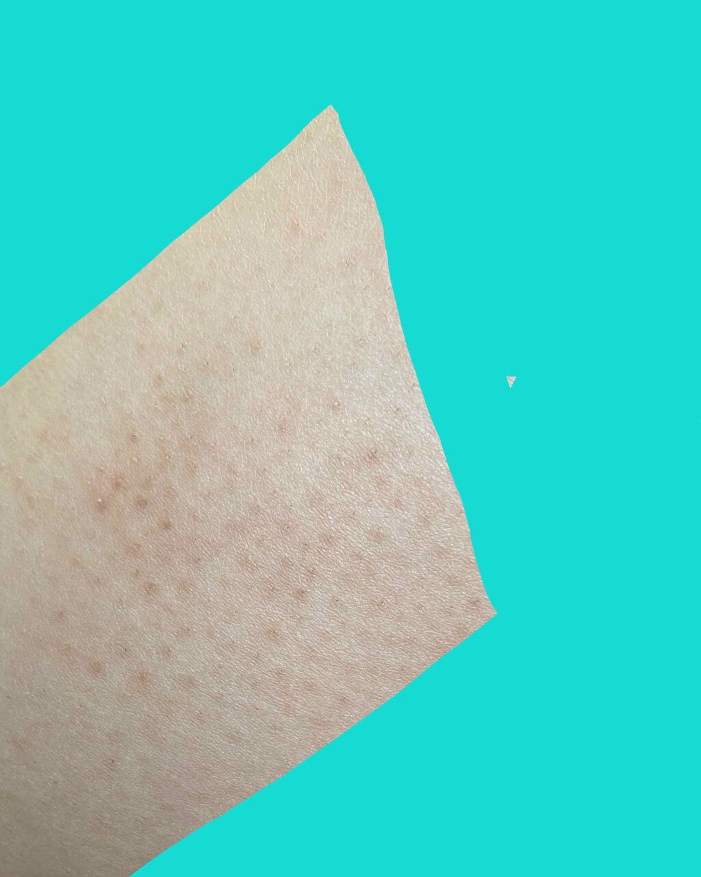 フェリエ フェイス用 ES-WF40/Panasonic/シェーバーを使ったクチコミ（2枚目）