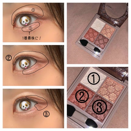 グロッシーリッチ アイズ N/Visée/アイシャドウパレットを使ったクチコミ(3枚目)