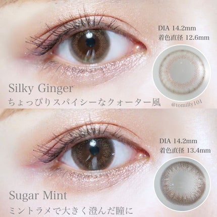 フェアリー ワンデー シマーリングシリーズ (FAIRY1day Shimmering series)/FAIRY/ワンデー(1DAY)カラコンを使ったクチコミ(6枚目)