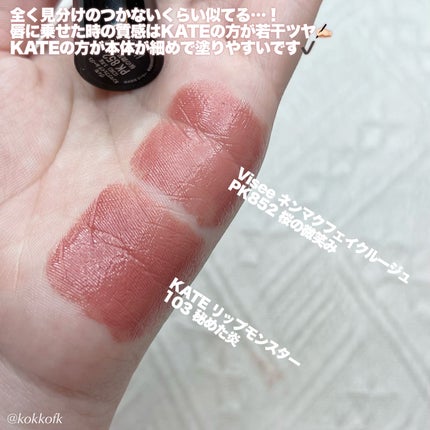 ネンマクフェイク ルージュ/Visée/口紅を使ったクチコミ(3枚目)