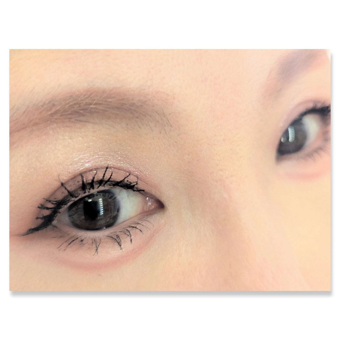 シャドーフラッシュ /MAJOLICA MAJORCA/アイシャドウパレットを使ったクチコミ(2枚目)