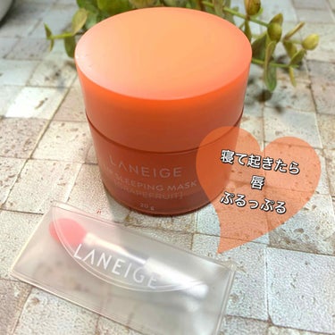 リップスリーピングマスク/LANEIGE/リップケア・リップクリームを使ったクチコミ（1枚目）