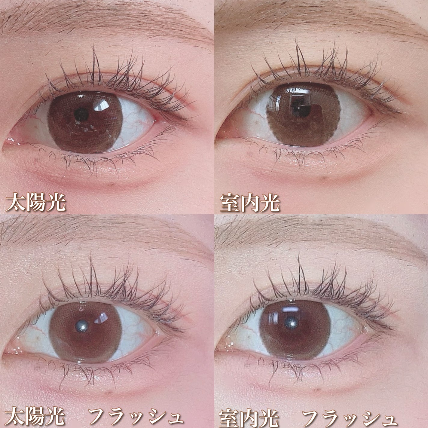 ミスティワンデー/OLENS/カラーコンタクトレンズを使ったクチコミ(5枚目)