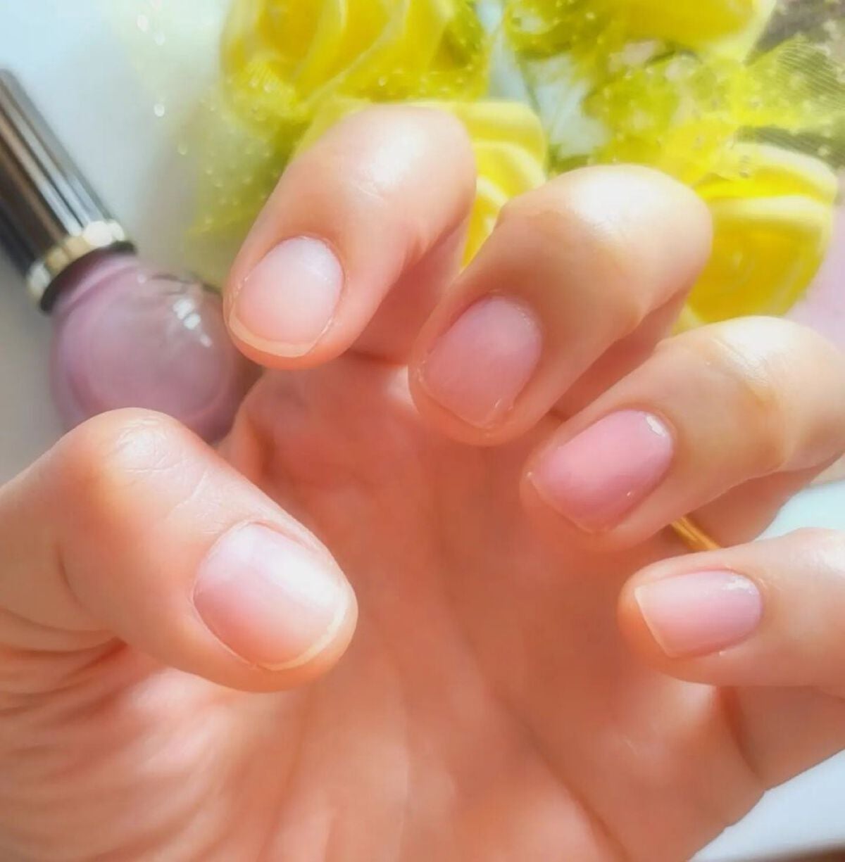 シュガードール オールインワンネイルR/シュガードール/オールインワンネイルを使ったクチコミ(5枚目)