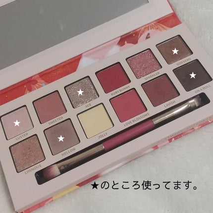 エクスプローラ12色 動物アイシャドウパレット/PERFECT DIARY/アイシャドウパレットを使ったクチコミ(2枚目)