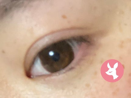 feliamo 1day/feliamo/ワンデー(1DAY)カラコンを使ったクチコミ(2枚目)