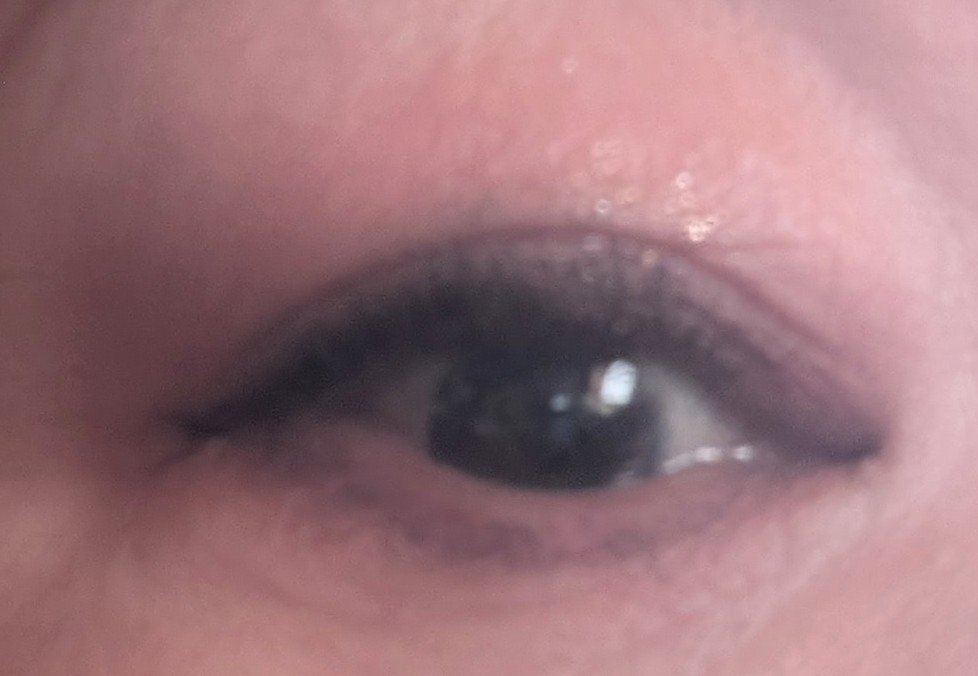 カラーパターンパレット/i’m meme/マルチパレットを使ったクチコミ（2枚目）