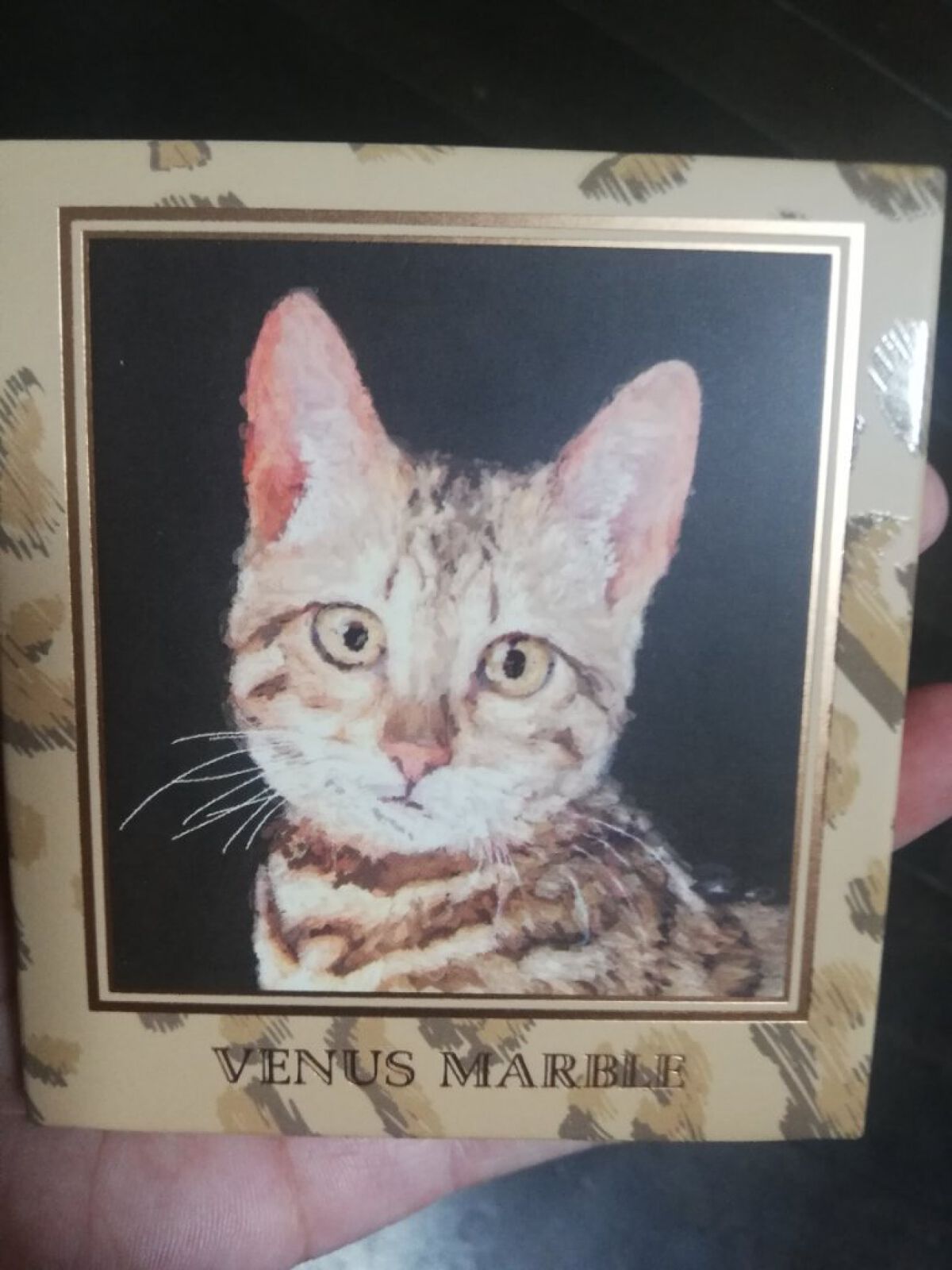 Venus Marble アイシャドウキャットシリーズ/Venus Marble/アイシャドウパレットを使ったクチコミ（1枚目）