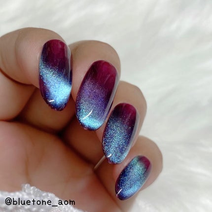 アニマルマグネットジェル/ネイル工房/ジェルネイルを使ったクチコミ(9枚目)