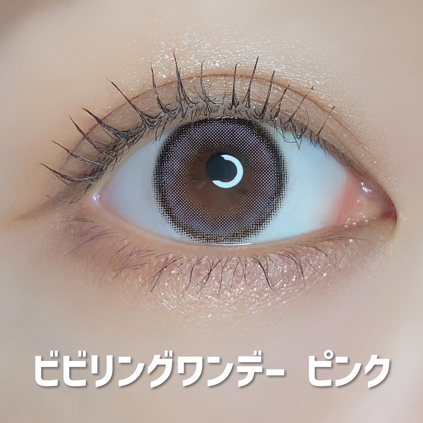 FrenchShine1day/OLENS/ワンデー（１DAY）カラコンを使ったクチコミ（2枚目）