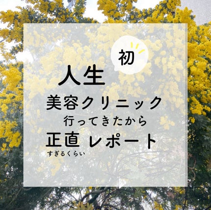 を使ったクチコミ(1枚目)