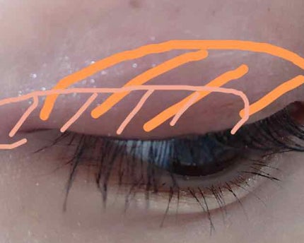 ワイドルックアイズ/インテグレート/アイシャドウパレットを使ったクチコミ(2枚目)