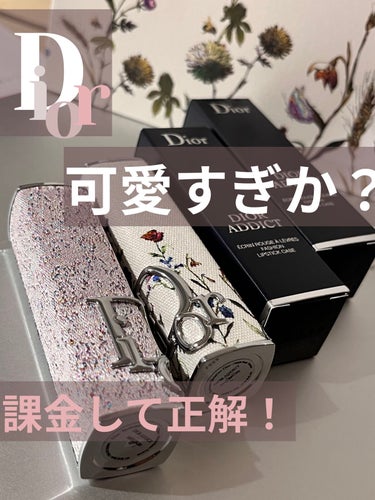 【旧】ディオールアディクトリップスティック(ケース)/Dior/その他を使ったクチコミ（1枚目）