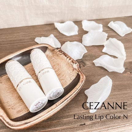 ラスティング リップカラーN/CEZANNE/口紅を使ったクチコミ(1枚目)
