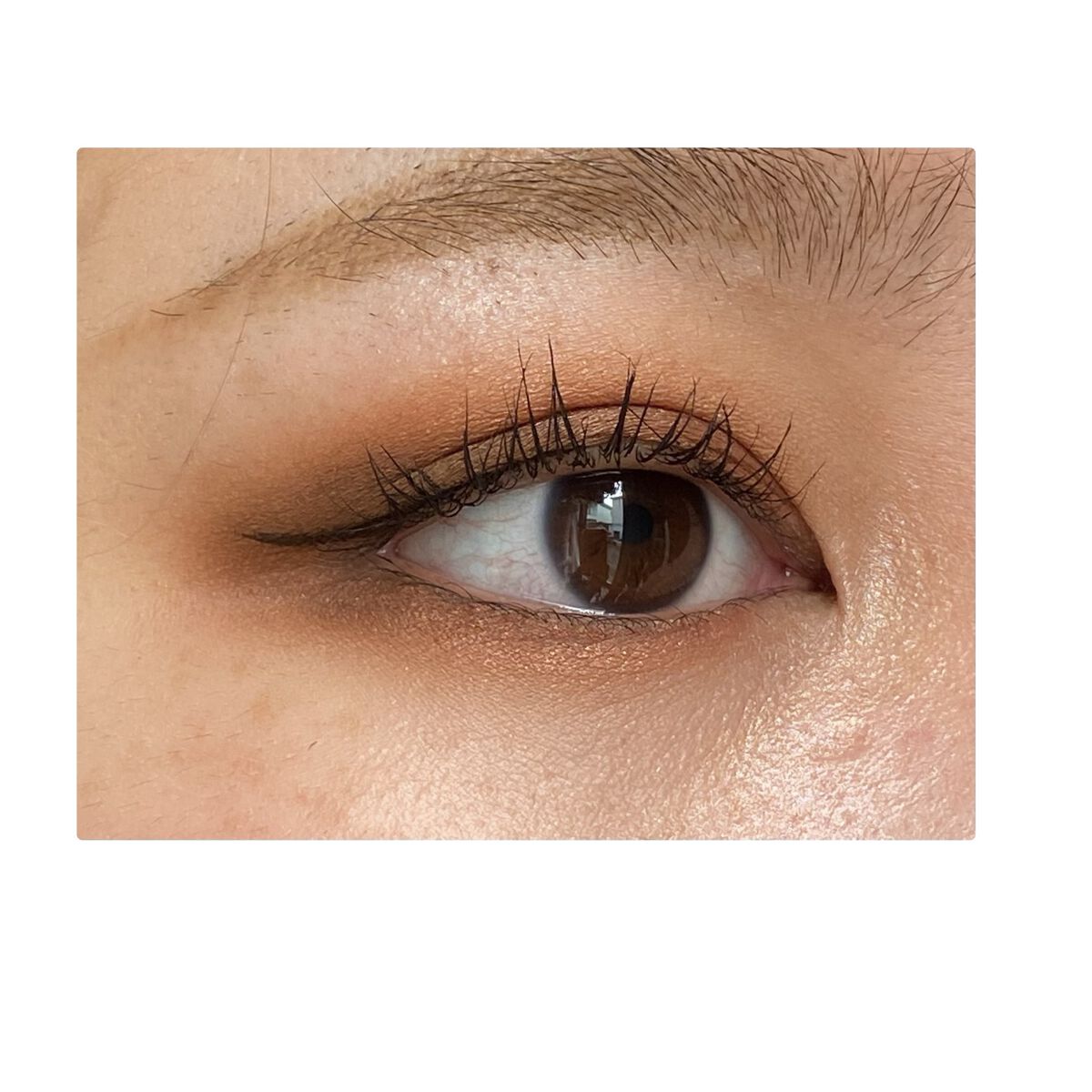 プロ アイパレット ミニ/CLIO/アイシャドウパレットを使ったクチコミ（2枚目）