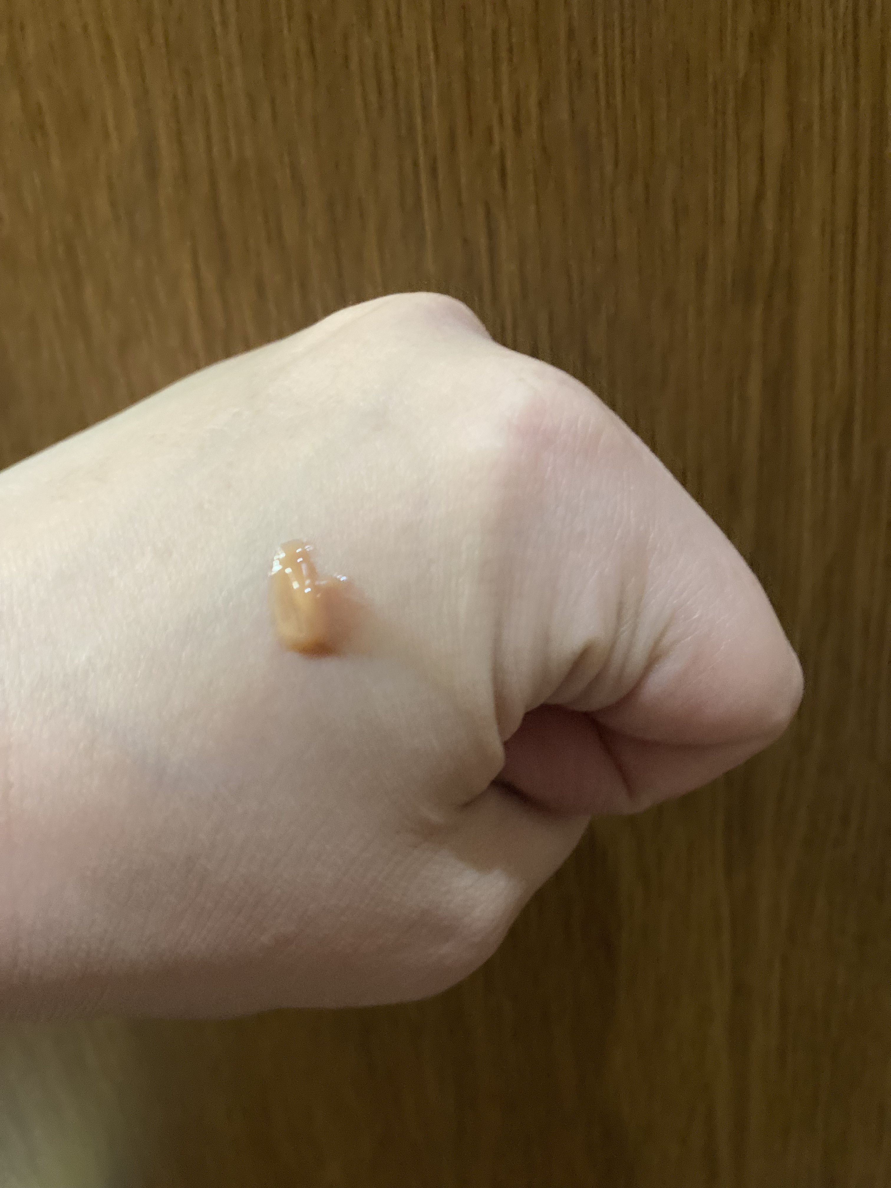 リファインボディオイルセラム/Melvita/ボディミルクを使ったクチコミ（3枚目）