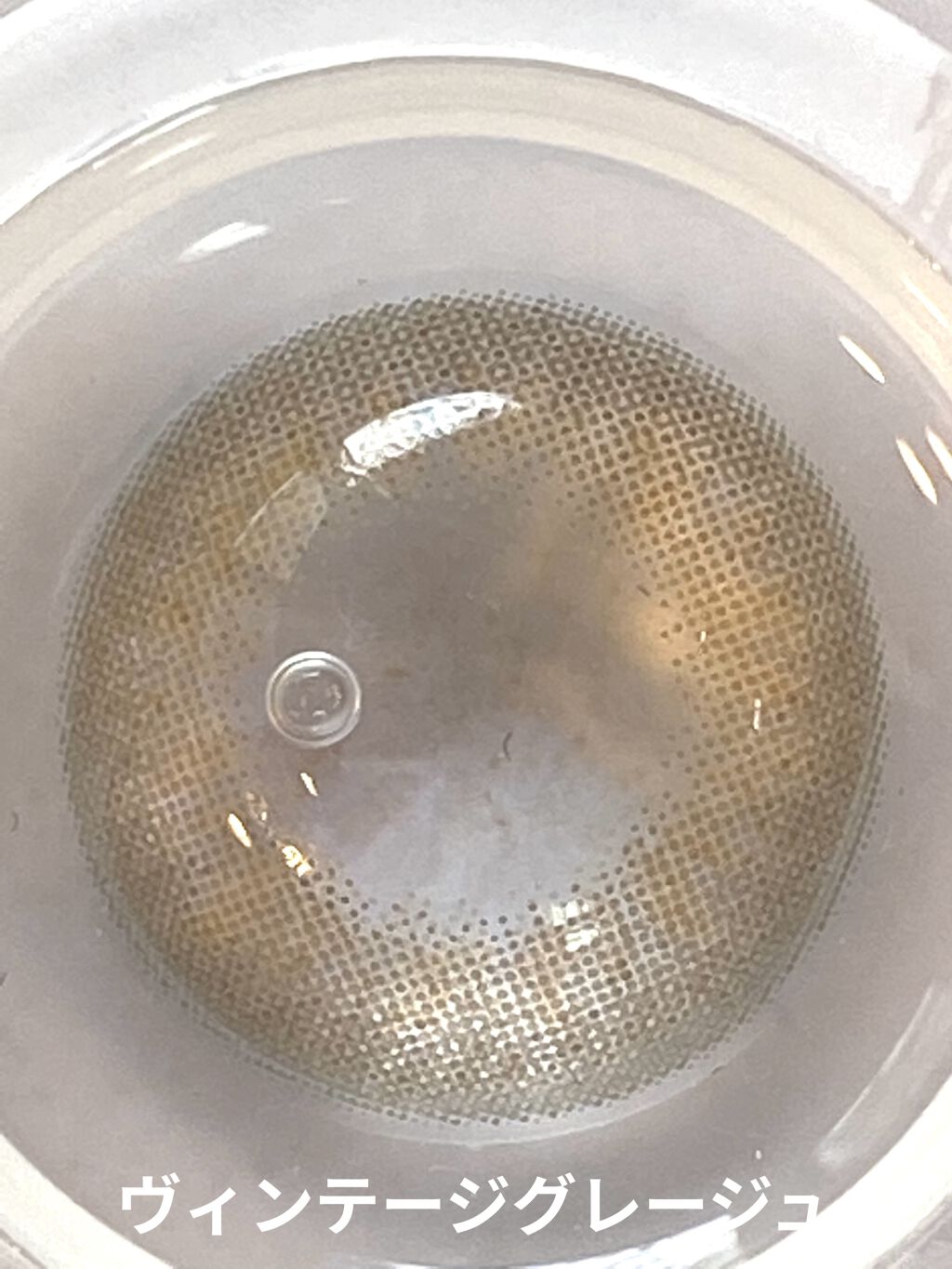 Angelcolor Bambi Series Vintage 1day ヴィンテージグレー/AngelColor/ワンデー（１DAY）カラコンを使ったクチコミ（3枚目）