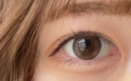 エバーカラーワンデーミリモア/エバーカラー/ワンデー(1DAY)カラコンを使ったクチコミ(2枚目)