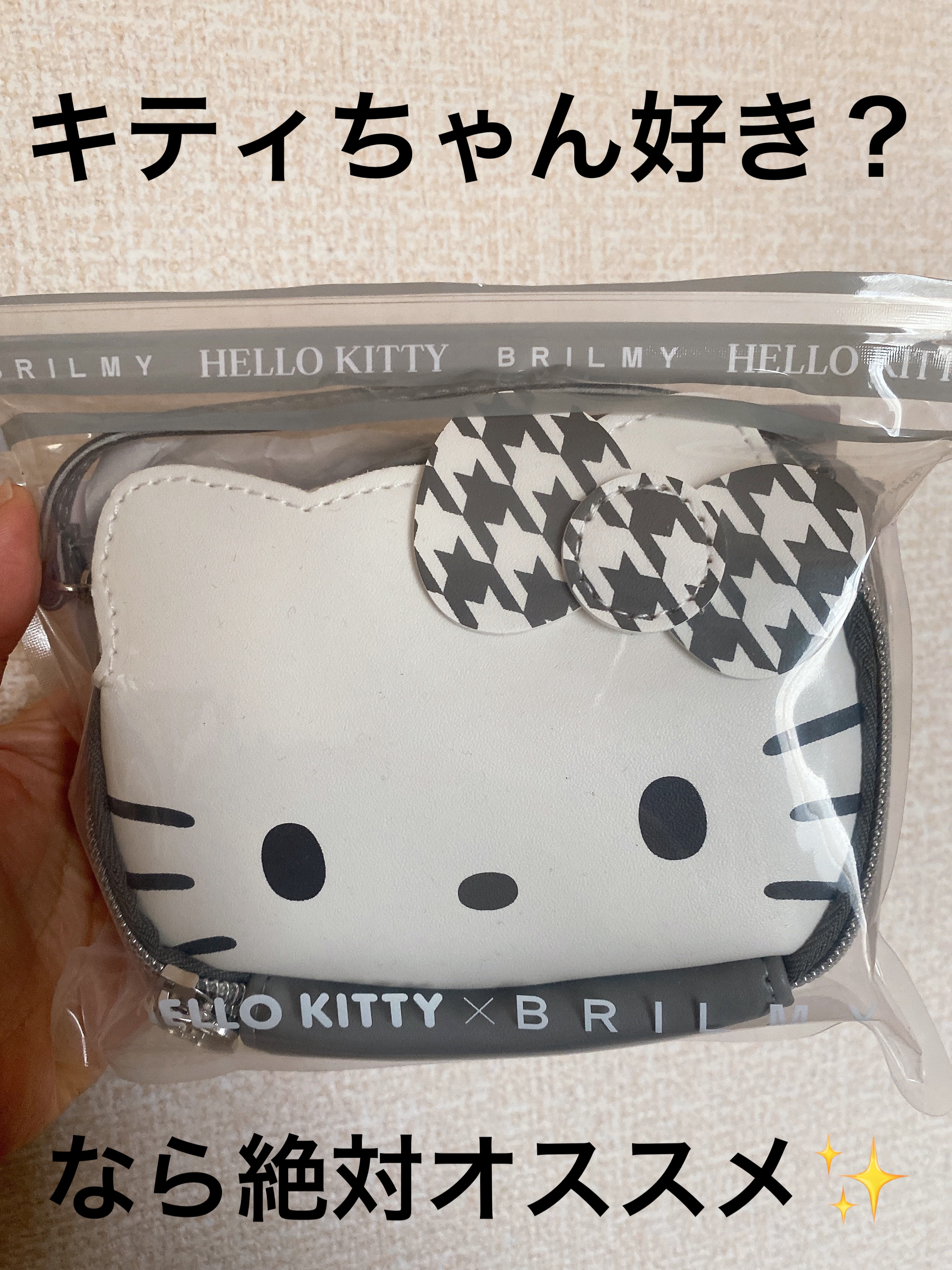 HELLO KITTY × BRILMY 中身が見えて時短がかなう ズボラに優しいコスメポーチ BOOK/宝島社/雑誌を使ったクチコミ（1枚目）