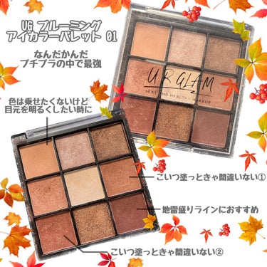 UR GLAM　BLOOMING EYE COLOR PALETTE/U R GLAM/アイシャドウパレットを使ったクチコミ（1枚目）