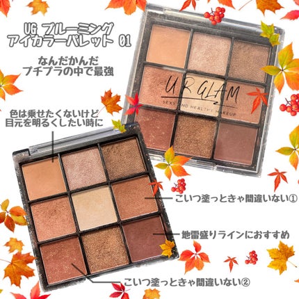 UR GLAM BLOOMING EYE COLOR PALETTE/U R GLAM/アイシャドウパレットを使ったクチコミ(1枚目)