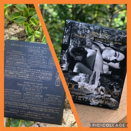 ミニ リップ トリオ “ストーリー オブ ライフ”/ADDICTION/メイクアップキットを使ったクチコミ(6枚目)