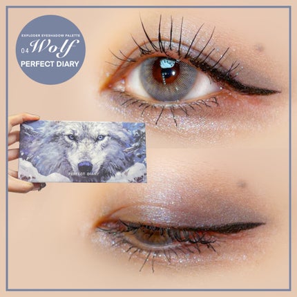 エクスプローラ12色 動物アイシャドウパレット/PERFECT DIARY/アイシャドウパレットを使ったクチコミ(4枚目)