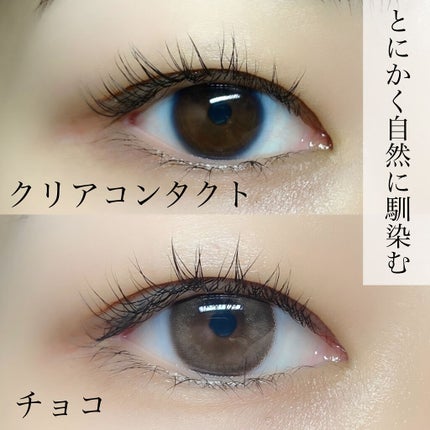 See Through Kristin/Hapa kristin/カラーコンタクトレンズを使ったクチコミ(5枚目)